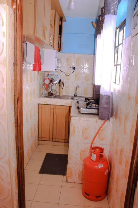 Cozy Homes 1 Bedroom House With Wi-Fi King Size Bed. Free Parking Naivasha Ngoại thất bức ảnh